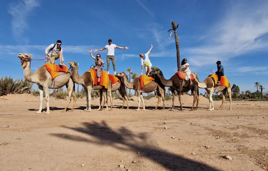 Découvrez Marrakech depuis les cieux : Vol en Montgolfière au Lever du Soleil