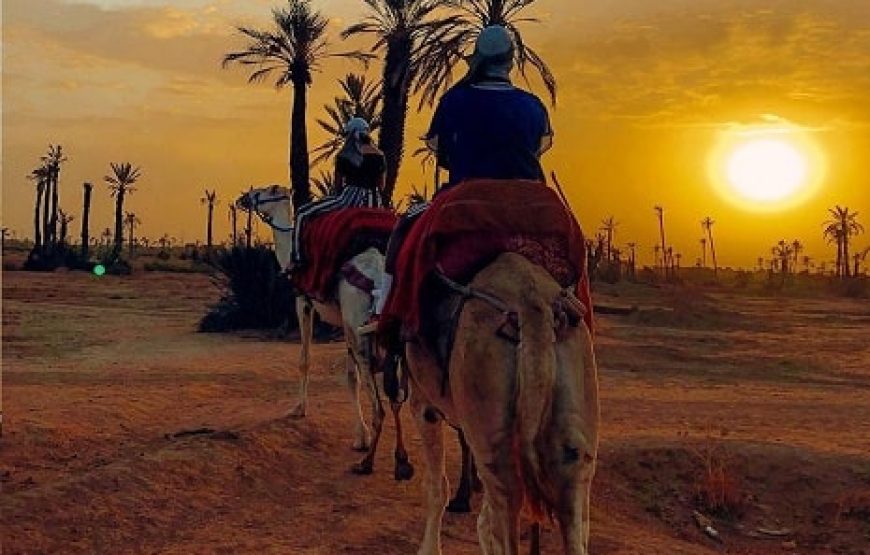 Buggy et dromadaire au coucher du soleil à la Palmeraie de Marrakech