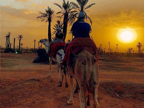 Voyagez au cœur du Maroc : découvrez nos excursions et activités pour une expérience authentique à Marrakech