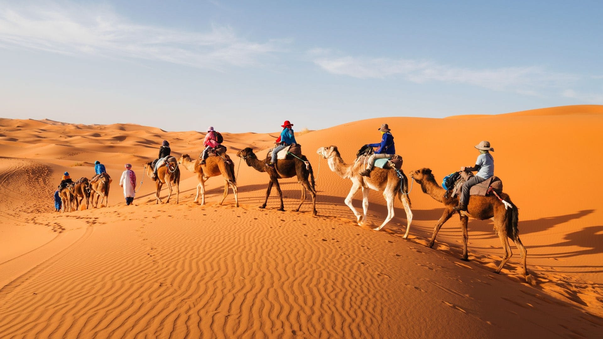 Voyagez au cœur du Maroc : découvrez nos excursions et activités pour une expérience authentique à Marrakech